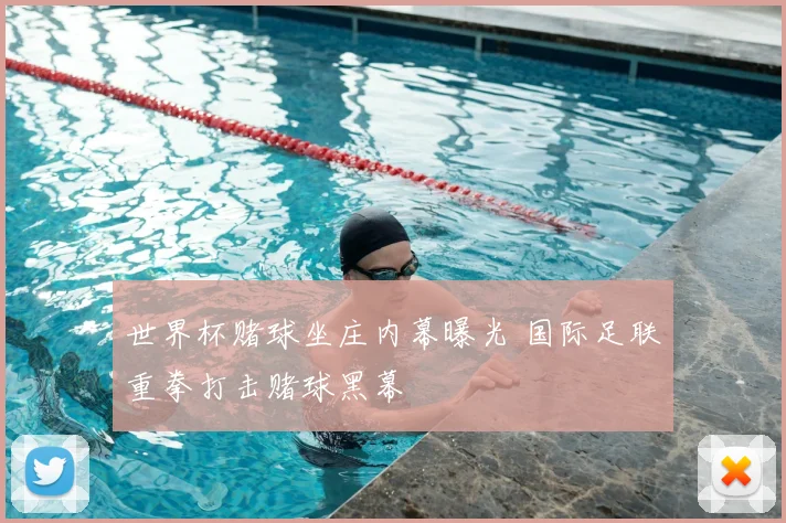 世界杯赌球坐庄内幕曝光 国际足联重拳打击赌球黑幕