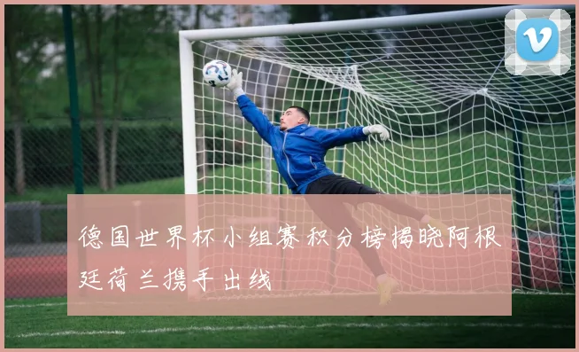 德国世界杯小组赛积分榜揭晓阿根廷荷兰携手出线