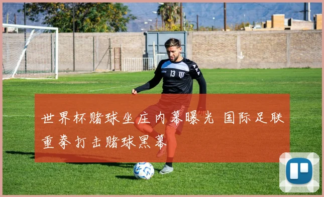 世界杯赌球坐庄内幕曝光 国际足联重拳打击赌球黑幕