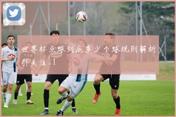 世界杯点球到底多少个球规则解析引关注_1