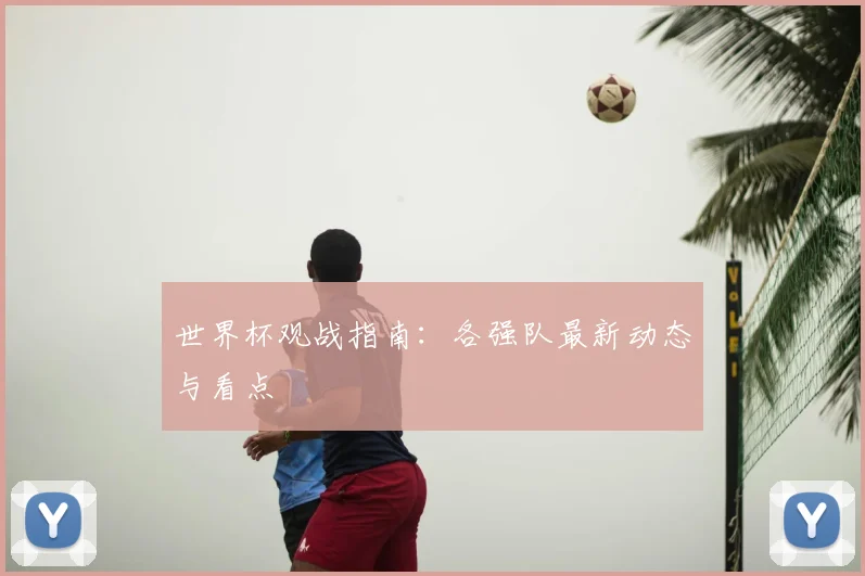 世界杯观战指南：各强队最新动态与看点